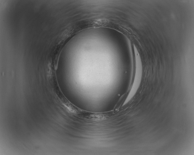 X0000073980520200609111811