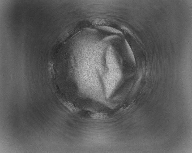 X0000073980521200609111811