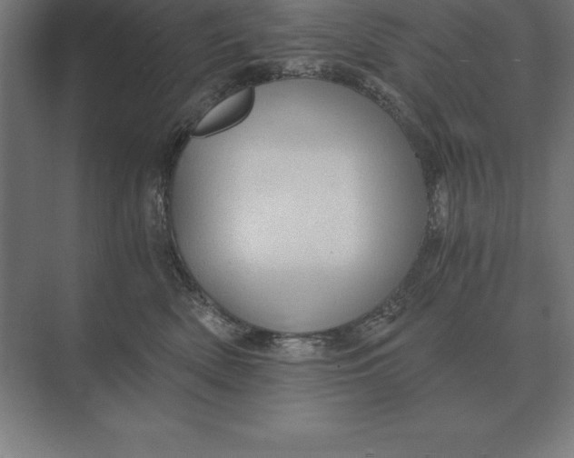 X0000073980522200609111811