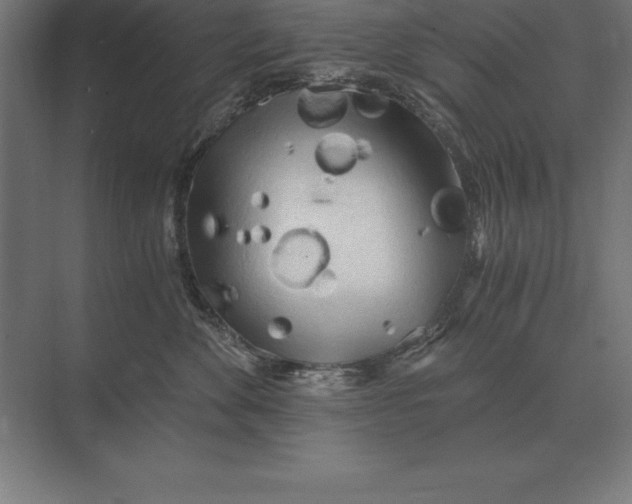 X0000073980524200609111811