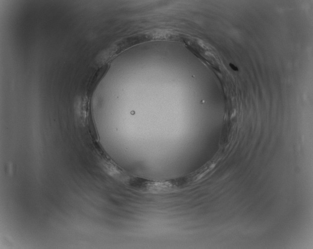 X0000073980525200609111811