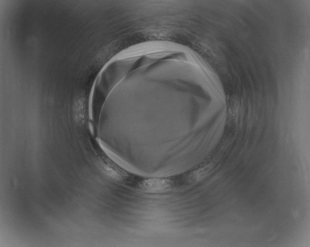 X0000073980526200609111811