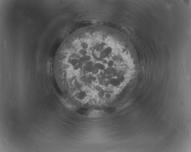 X0000073980527200609111811