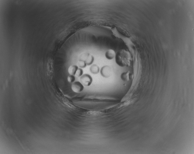 X0000073980528200609111811