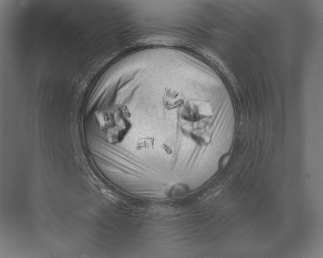 X0000073980529200609111810