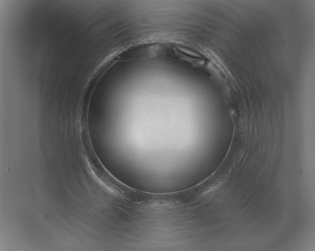 X0000073980530200609111810