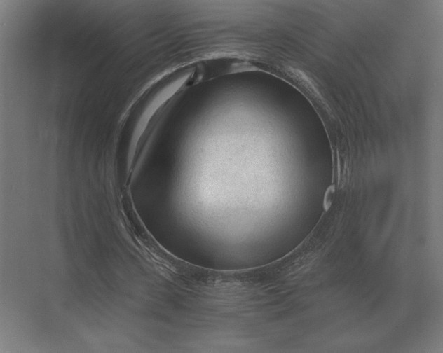 X0000073980531200609111810