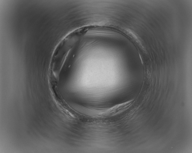 X0000073980532200609111810