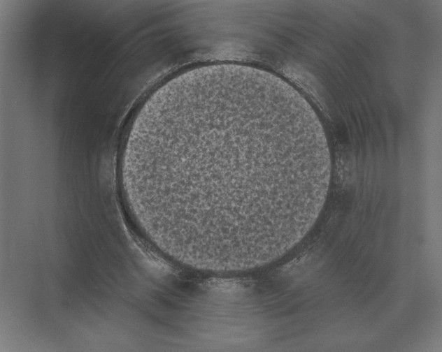 X0000073980534200609111810