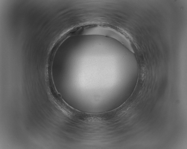 X0000073980535200609111810