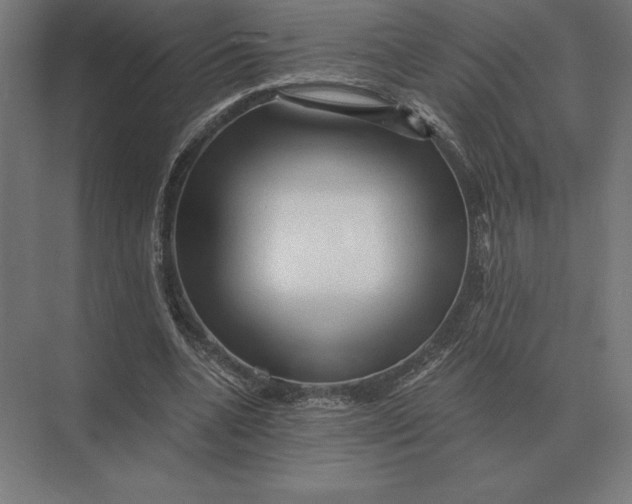 X0000073980536200609111810