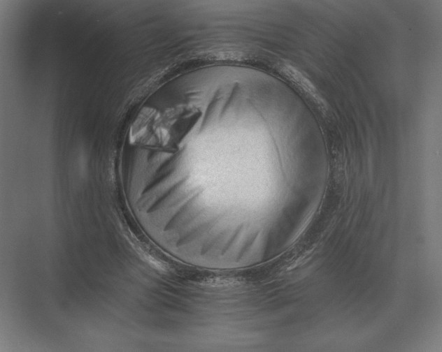 X0000073980537200609111810