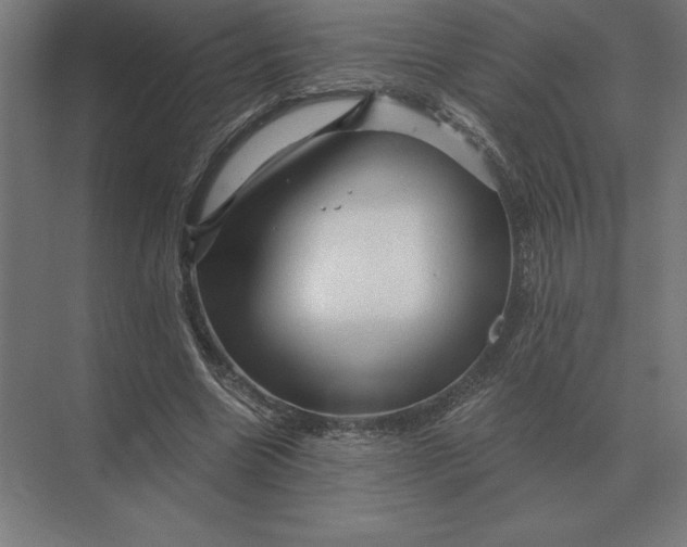 X0000073980538200609111810