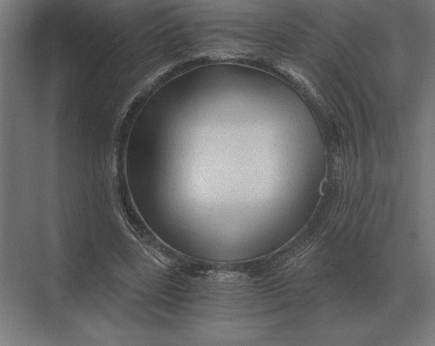 X0000073980539200609111810