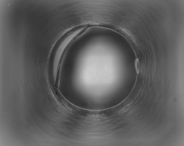 X0000073980540200609111810