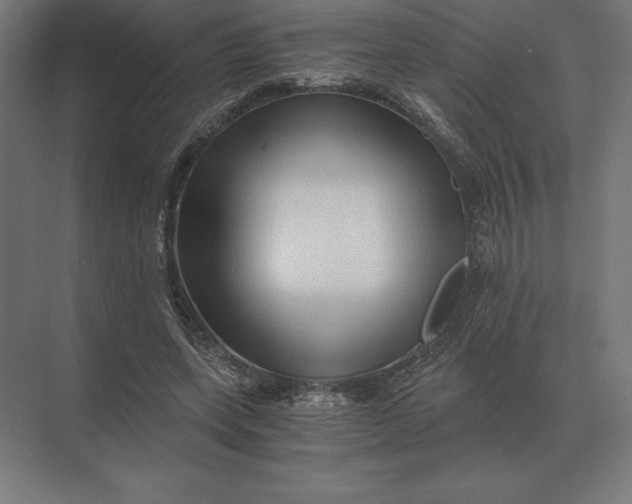 X0000073980543200609111810