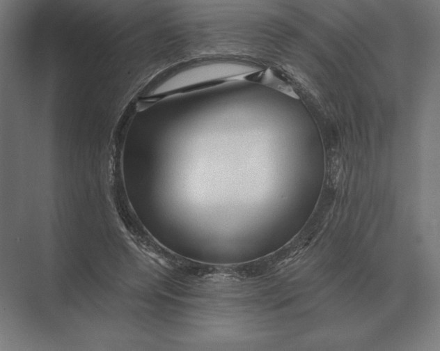 X0000073980544200609111810