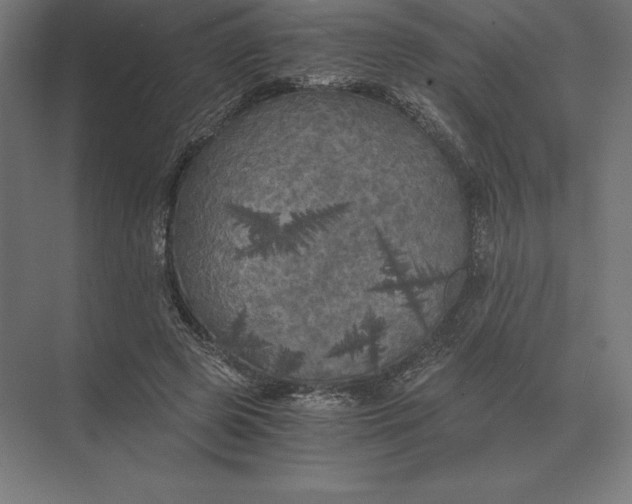 X0000073980545200609111810