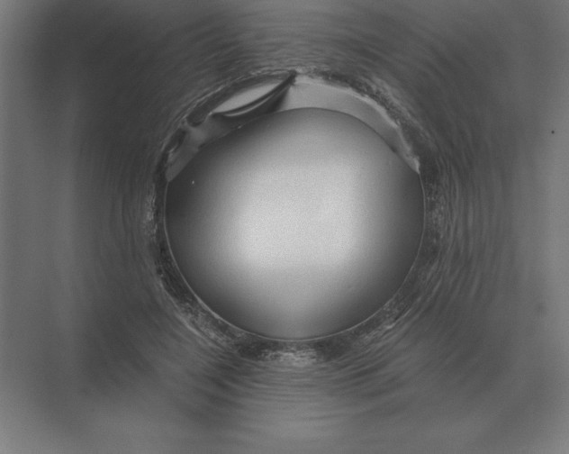 X0000073980548200609111810