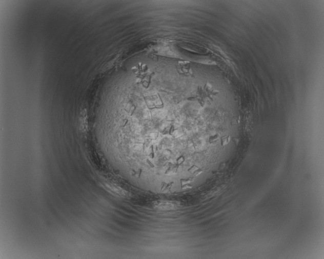 X0000073980549200609111810