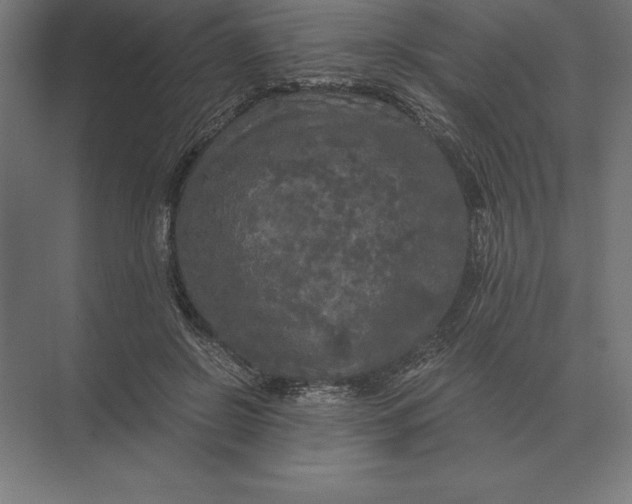 X0000073980550200609111810