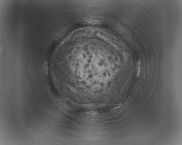 X0000073980551200609111810