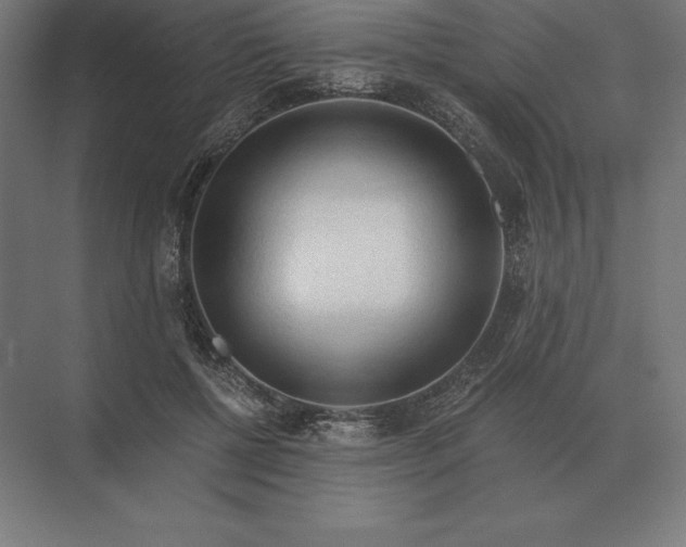 X0000073980552200609111810