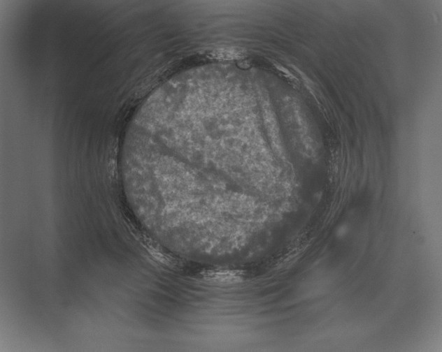 X0000073980553200609111810