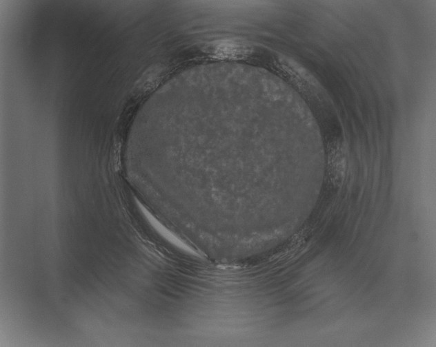 X0000073980554200609111810