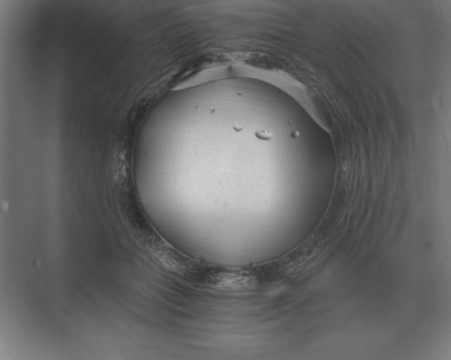 X0000073980555200609111810