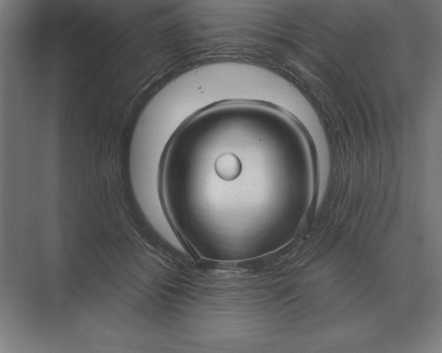 X0000073980556200609111811