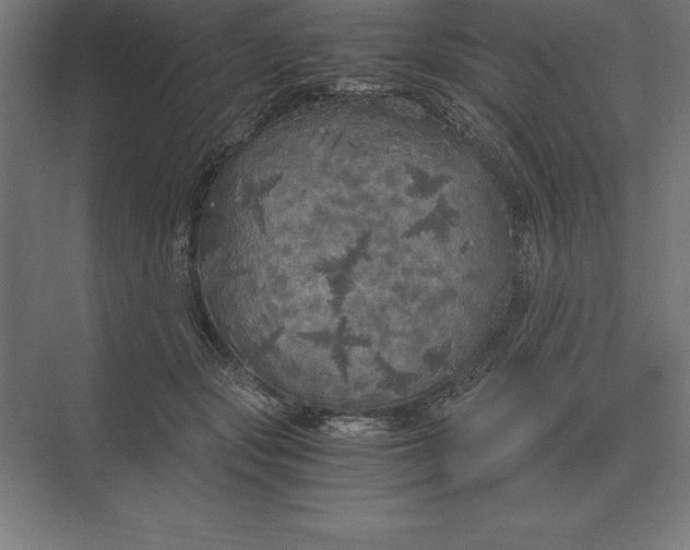 X0000073980557200609111811