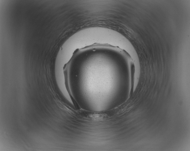 X0000073980558200609111811