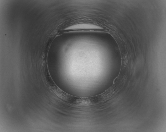 X0000073980559200609111811