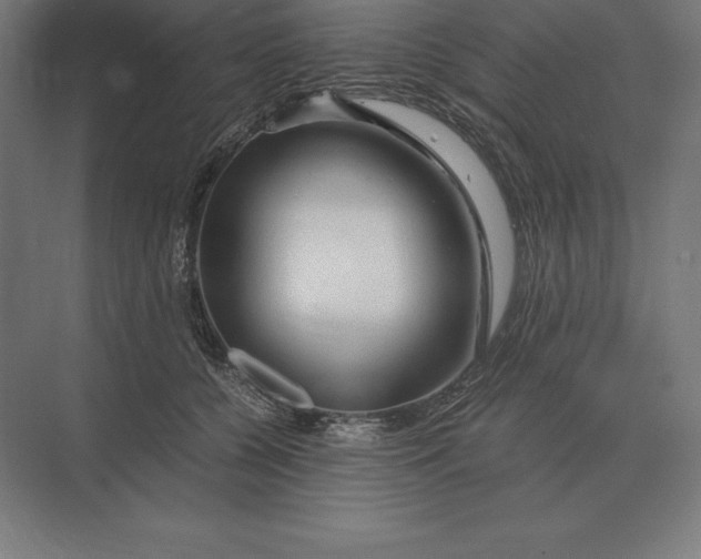 X0000073980560200609111811