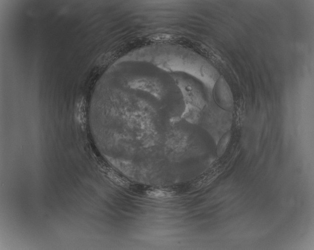 X0000073980561200609111811