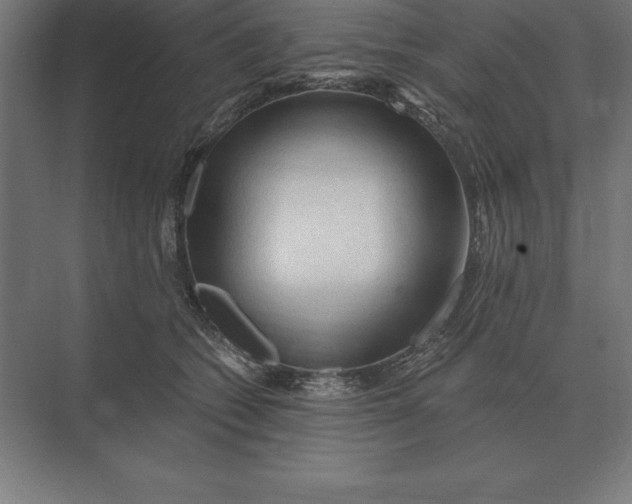 X0000073980562200609111811