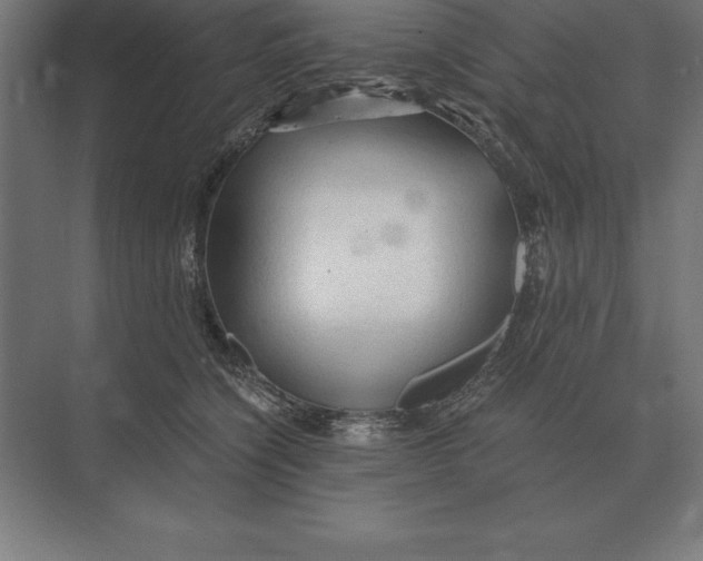 X0000073980564200609111811