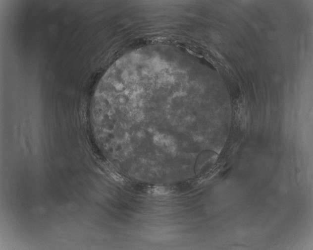 X0000073980565200609111811