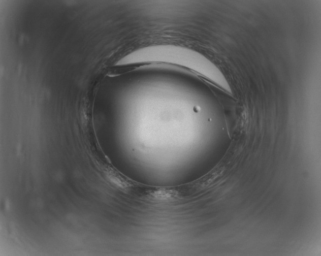 X0000073980566200609111811