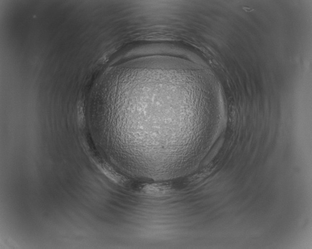 X0000073980568200609111811