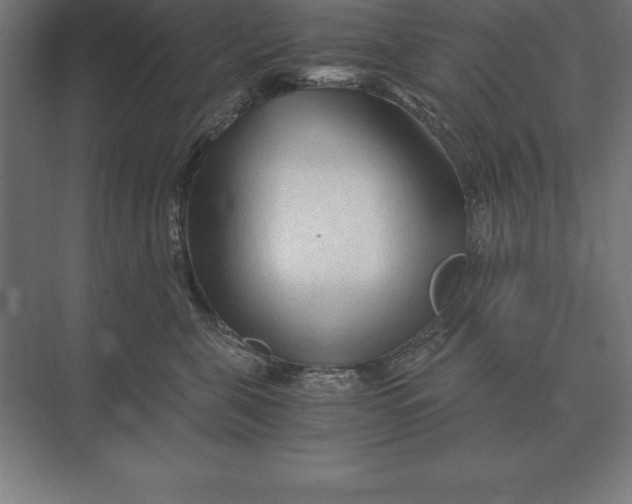 X0000073980571200609111811