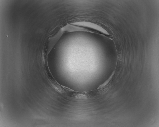 X0000073980572200609111811