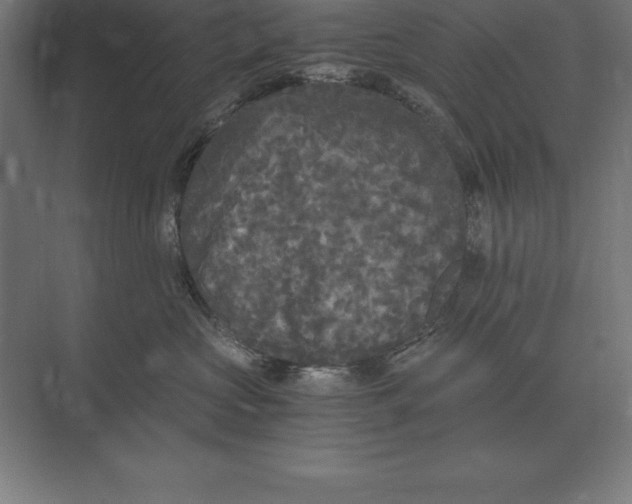 X0000073980573200609111811