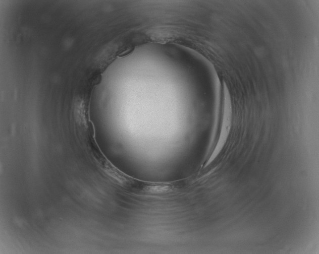 X0000073980575200609111811