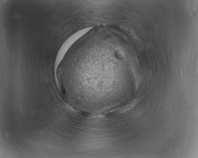 X0000073980576200609111811