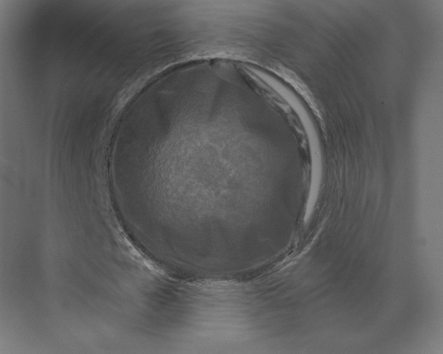 X0000073980577200609111810