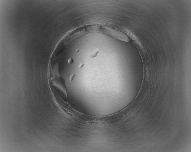 X0000073980580200609111810