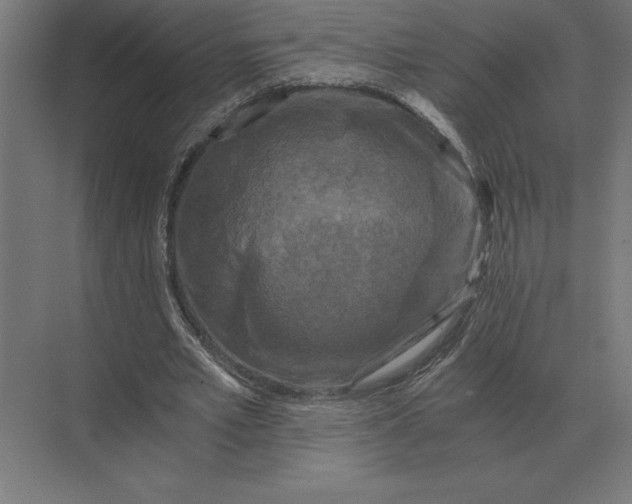 X0000073980581200609111810