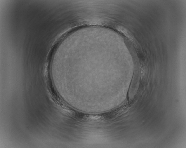 X0000073980583200609111810